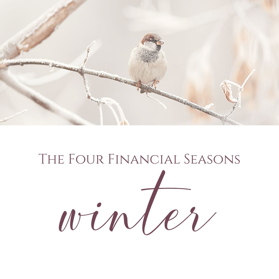 happy bird on winter branch during the winter financial season